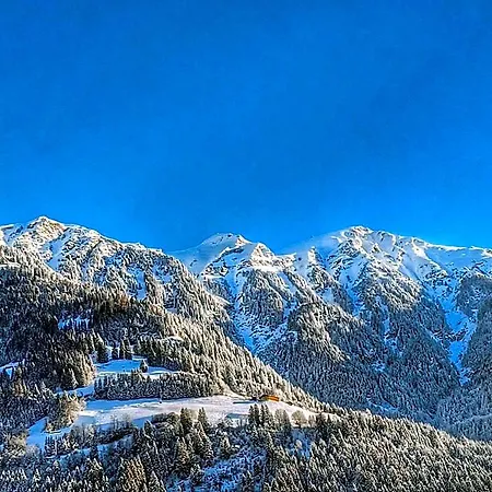 Austria Aparthotel *
